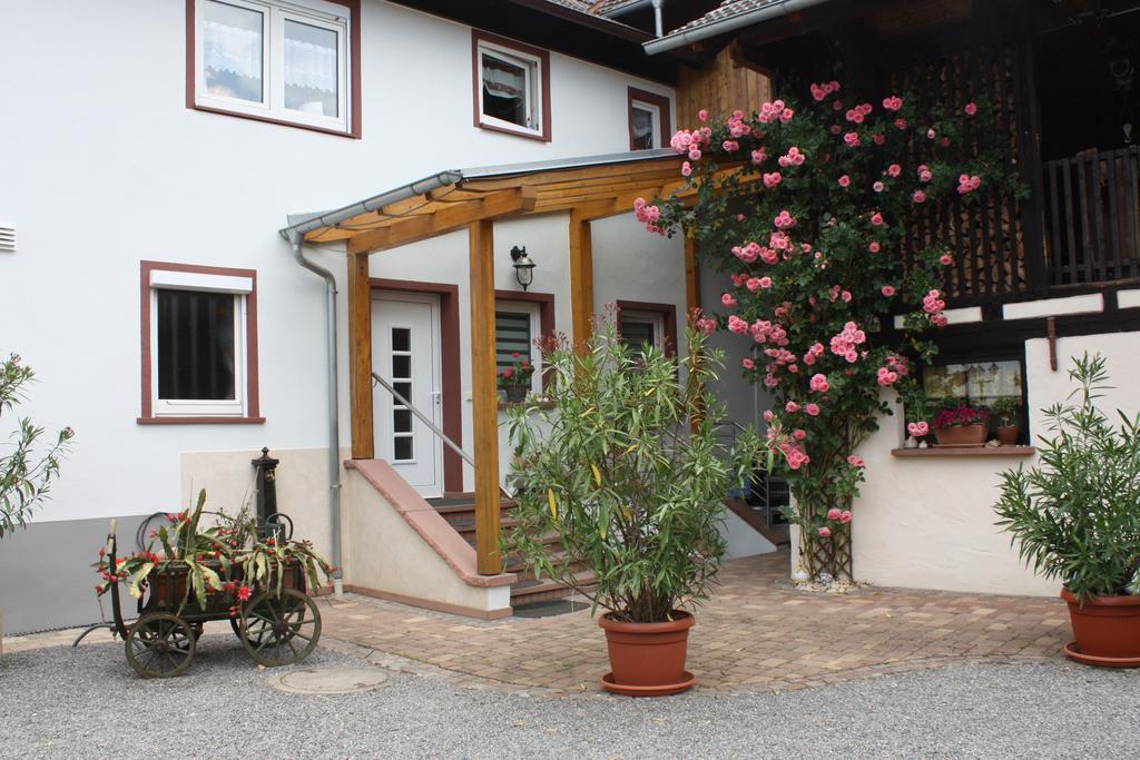 Ferienwohnung Fam. Hoehn Kappel-Grafenhausen Esterno foto